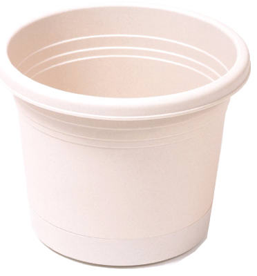 vassartruevalue4100553