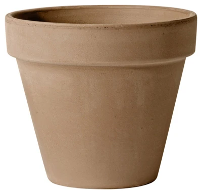 vassartruevalue4180287