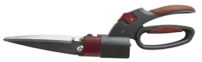 vassartruevalue4820247