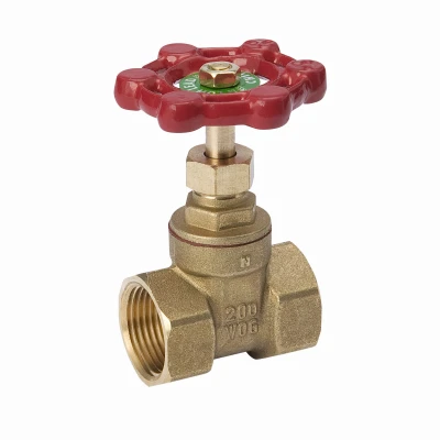 vassartruevalue4884346