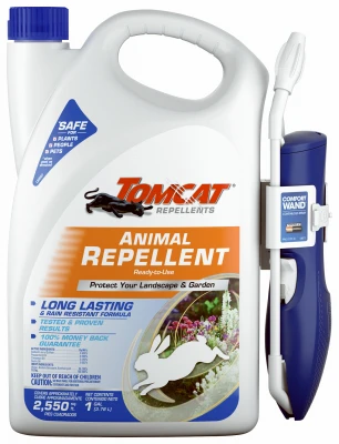 vassartruevalue4900316