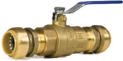 vassartruevalue4916779