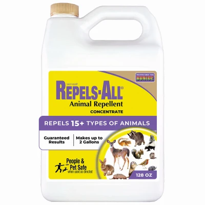 vassartruevalue5034603