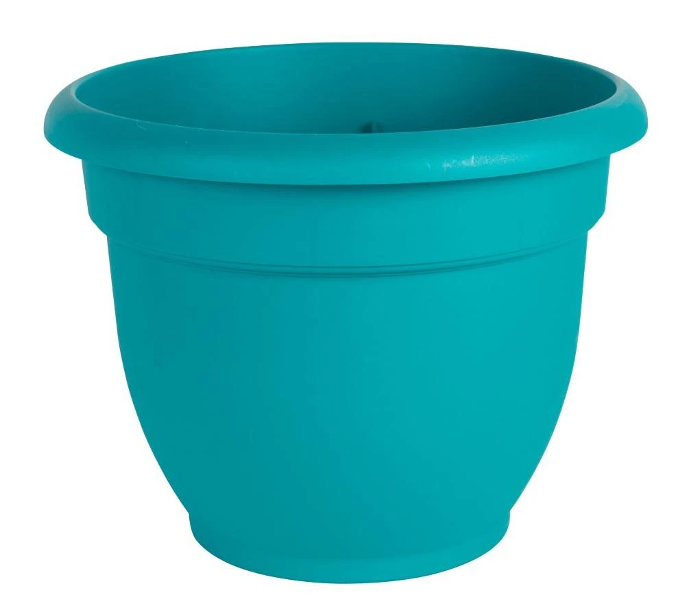 vassartruevalue5570422