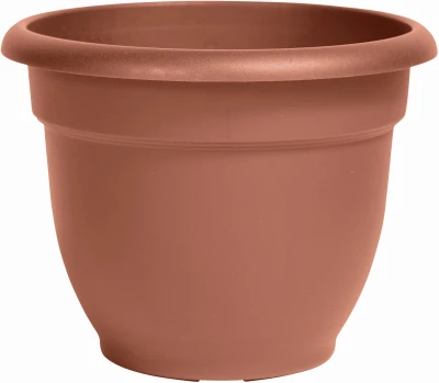 vassartruevalue5852503