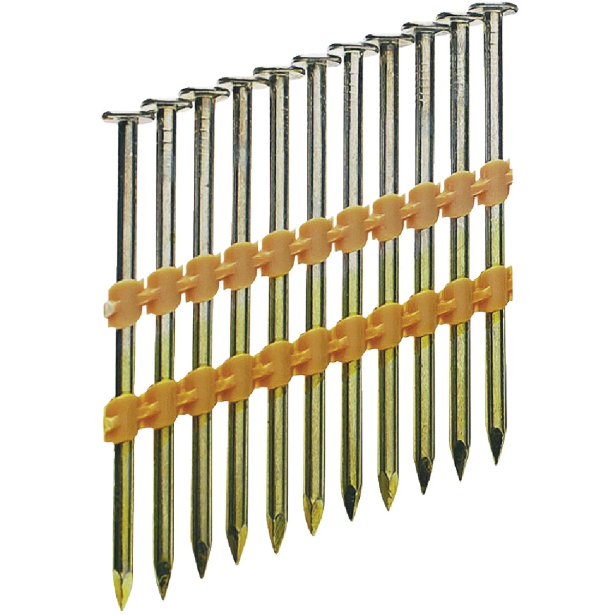 wdbryant4629611