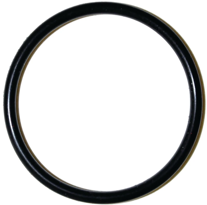 wdbryant6039304